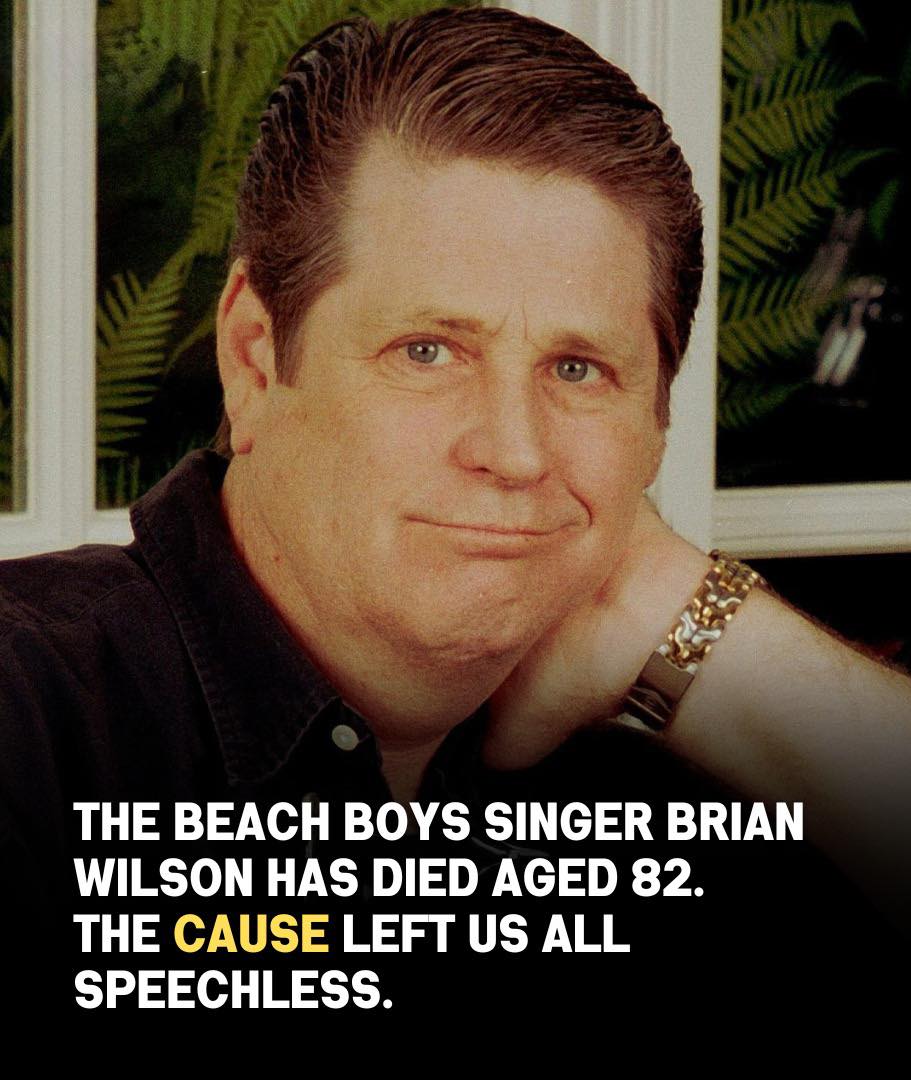 The Unexpected Details Behind Brian Wilson’s Passing That No One Saw